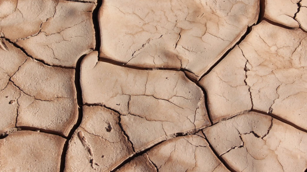 Susza Digital Farming