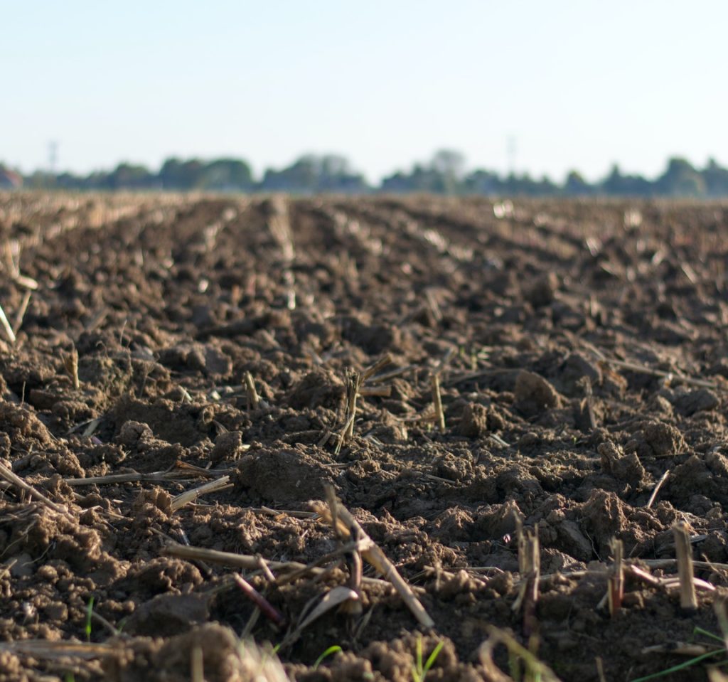 Zdjęcie autorstwa Jan Kroon z Pexels